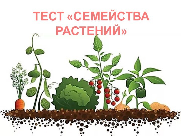 ТЕСТ «СЕМЕЙСТВА РАСТЕНИЙ»