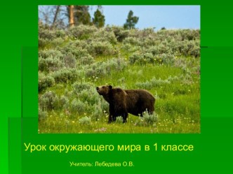 Презентация урока окружающего мира Кто такие звери? в 1 классе