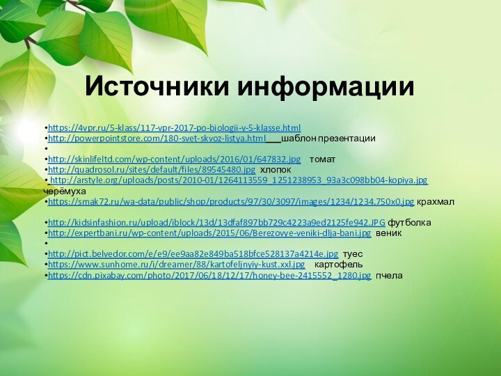 Источники информацииhttps://4vpr.ru/5-klass/117-vpr-2017-po-biologii-v-5-klasse.htmlhttp://powerpointstore.com/180-svet-skvoz-listya.html    шаблон презентации http://skinlifeltd.com/wp-content/uploads/2016/01/647832.jpg  томатhttp://quadrosol.ru/sites/default/files/89545480.jpg хлопок http://arstyle.org/uploads/posts/2010-01/1264113559_1251238953_93a3c098bb04-kopiya.jpg