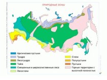 Методическая разработка к уроку окружающего мира в 4 классе на тему Леса России. Лесная зона. Лес и человек.