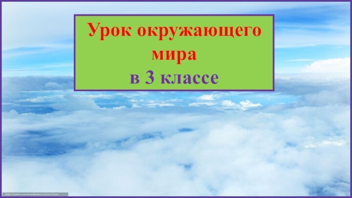 Урок окружающего мира в 3 классе