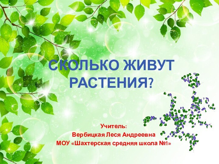 СКОЛЬКО ЖИВУТ РАСТЕНИЯ?Учитель:Вербицкая Леся АндреевнаМОУ «Шахтерская средняя школа №1»