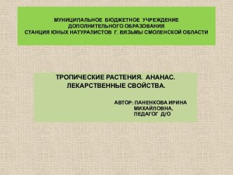 Презентация Тропические растения. Ананас. Лекарственные свойства