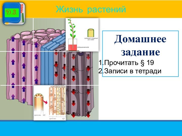 Домашнее заданиеПрочитать § 19Записи в тетради