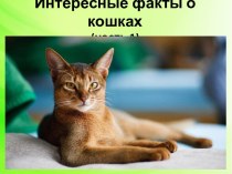 Презентация Интересные факты о кошках, (часть 1)