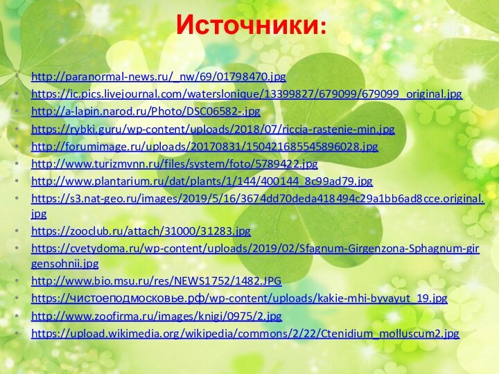 Источники:http://paranormal-news.ru/_nw/69/01798470.jpghttps://ic.pics.livejournal.com/waterslonique/13399827/679099/679099_original.jpghttp://a-lapin.narod.ru/Photo/DSC06582-.jpghttps://rybki.guru/wp-content/uploads/2018/07/riccia-rastenie-min.jpghttp://forumimage.ru/uploads/20170831/150421685545896028.jpghttp://www.turizmvnn.ru/files/system/foto/5789422.jpghttp://www.plantarium.ru/dat/plants/1/144/400144_8c99ad79.jpghttps://s3.nat-geo.ru/images/2019/5/16/3674dd70deda418494c29a1bb6ad8cce.original.jpghttps://zooclub.ru/attach/31000/31283.jpghttps://cvetydoma.ru/wp-content/uploads/2019/02/Sfagnum-Girgenzona-Sphagnum-girgensohnii.jpghttp://www.bio.msu.ru/res/NEWS1752/1482.JPGhttps://чистоеподмосковье.рф/wp-content/uploads/kakie-mhi-byvayut_19.jpghttp://www.zoofirma.ru/images/knigi/0975/2.jpghttps://upload.wikimedia.org/wikipedia/commons/2/22/Ctenidium_molluscum2.jpg