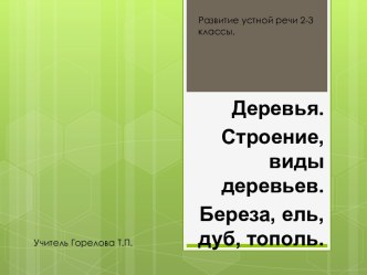 Презентация Развитие устной речи, 2-3 класс ГУО