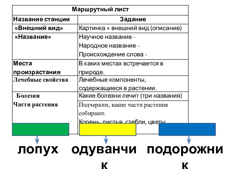 лопуходуванчикподорожник