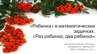 Проект: Рябинка в математических задачах