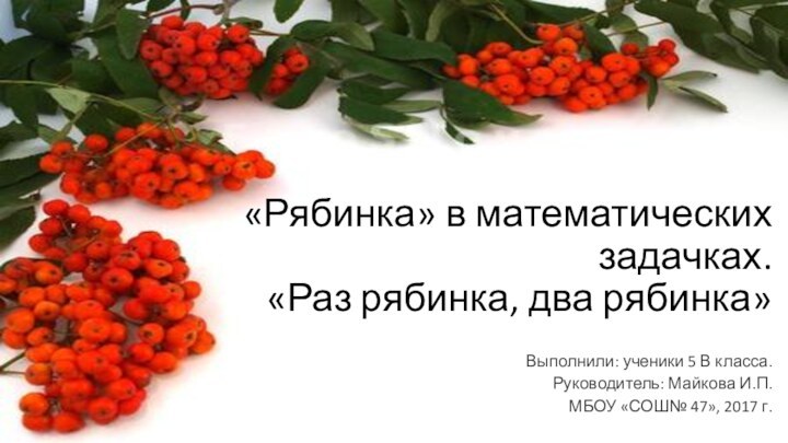 «Рябинка» в математических задачках. «Раз рябинка, два рябинка»Выполнили: ученики 5 В класса.Руководитель: