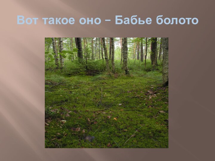 Вот такое оно – Бабье болото