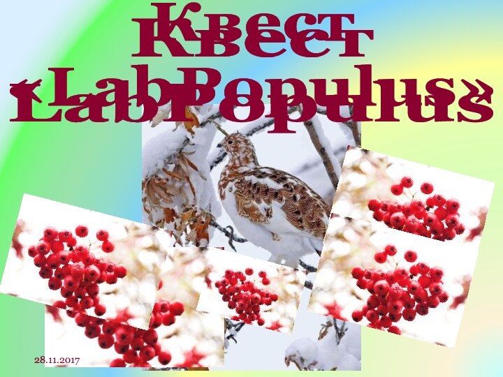 Квест «LabPopulus»