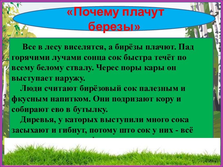 «Почему плачут березы»   Все в лесу виселятся, а бирёзы