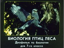 Диафильм Биология птиц леса