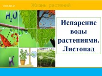 Презентация Испарение воды растениями. Листопад