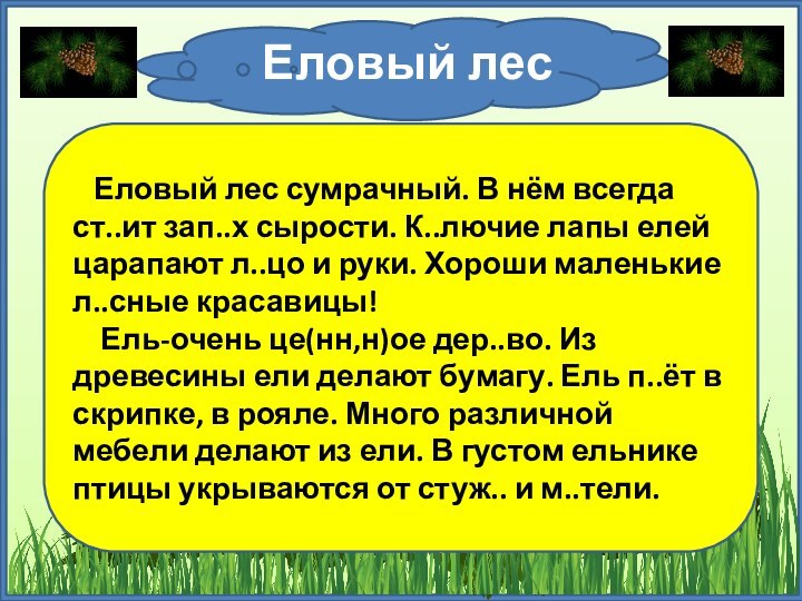 Еловый лес  Еловый лес сумрачный. В нём всегда ст..ит зап..х сырости.