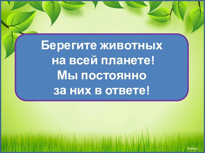 Берегите животных  на всей планете! Мы постоянно за них в ответе!