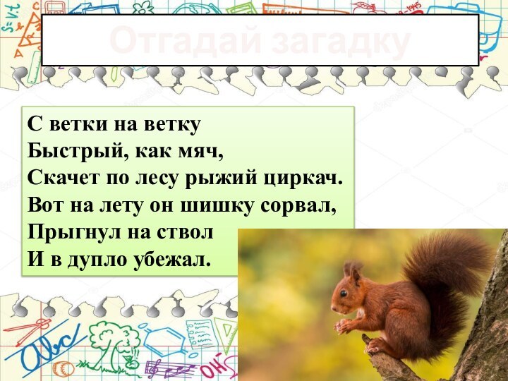 Отгадай загадкуС ветки на ветку Быстрый, как мяч,Скачет по лесу рыжий циркач.Вот