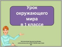 Презентация к уроку окружающего мира в 1 классе. Задавайте вопросы