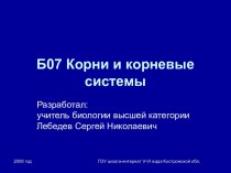 Презентация Корни и корневые системы