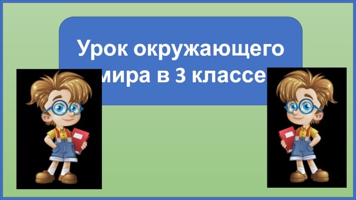 Урок окружающего мира в 3 классе