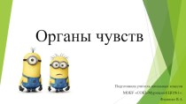 Презентация к уроку по теме Органы чувств человека 3 класс