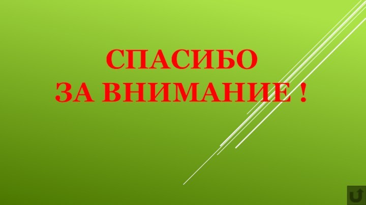 Спасибо  за внимание !