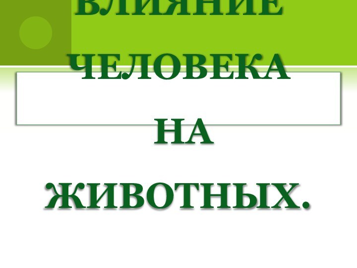 ВЛИЯНИЕ ЧЕЛОВЕКА НА ЖИВОТНЫХ.