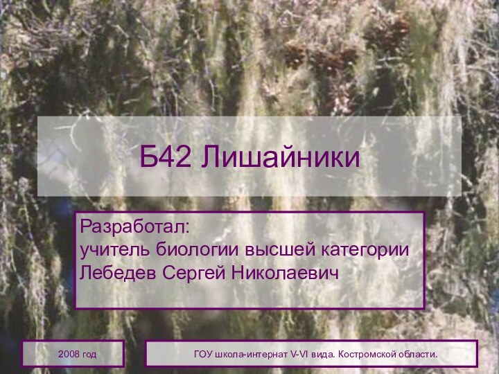 2008 годГОУ школа-интернат V-VI вида. Костромской области.Б42 ЛишайникиРазработал: учитель биологии высшей категории Лебедев Сергей Николаевич