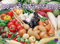 Урок по теме Овощи в питании человека, 5 класс