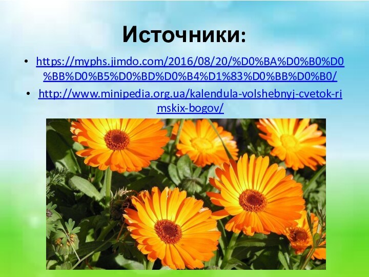 Источники:https://myphs.jimdo.com/2016/08/20/%D0%BA%D0%B0%D0%BB%D0%B5%D0%BD%D0%B4%D1%83%D0%BB%D0%B0/http://www.minipedia.org.ua/kalendula-volshebnyj-cvetok-rimskix-bogov/