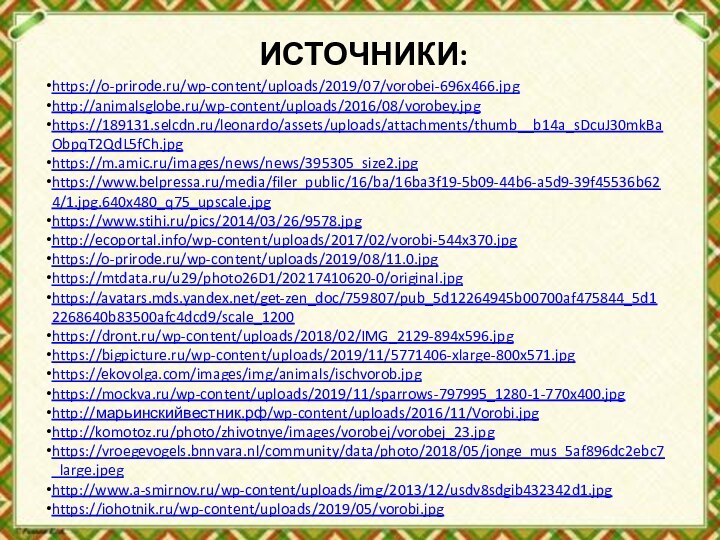 ИСТОЧНИКИ:https://o-prirode.ru/wp-content/uploads/2019/07/vorobei-696x466.jpghttp://animalsglobe.ru/wp-content/uploads/2016/08/vorobey.jpghttps://189131.selcdn.ru/leonardo/assets/uploads/attachments/thumb__b14a_sDcuJ30mkBaObpqT2QdL5fCh.jpghttps://m.amic.ru/images/news/news/395305_size2.jpghttps://www.belpressa.ru/media/filer_public/16/ba/16ba3f19-5b09-44b6-a5d9-39f45536b624/1.jpg.640x480_q75_upscale.jpghttps://www.stihi.ru/pics/2014/03/26/9578.jpghttp://ecoportal.info/wp-content/uploads/2017/02/vorobi-544x370.jpghttps://o-prirode.ru/wp-content/uploads/2019/08/11.0.jpghttps://mtdata.ru/u29/photo26D1/20217410620-0/original.jpghttps://avatars.mds.yandex.net/get-zen_doc/759807/pub_5d12264945b00700af475844_5d12268640b83500afc4dcd9/scale_1200https://dront.ru/wp-content/uploads/2018/02/IMG_2129-894x596.jpghttps://bigpicture.ru/wp-content/uploads/2019/11/5771406-xlarge-800x571.jpghttps://ekovolga.com/images/img/animals/ischvorob.jpghttps://mockva.ru/wp-content/uploads/2019/11/sparrows-797995_1280-1-770x400.jpghttp://марьинскийвестник.рф/wp-content/uploads/2016/11/Vorobi.jpghttp://komotoz.ru/photo/zhivotnye/images/vorobej/vorobej_23.jpghttps://vroegevogels.bnnvara.nl/community/data/photo/2018/05/jonge_mus_5af896dc2ebc7_large.jpeghttp://www.a-smirnov.ru/wp-content/uploads/img/2013/12/usdv8sdgib432342d1.jpghttps://iohotnik.ru/wp-content/uploads/2019/05/vorobi.jpg