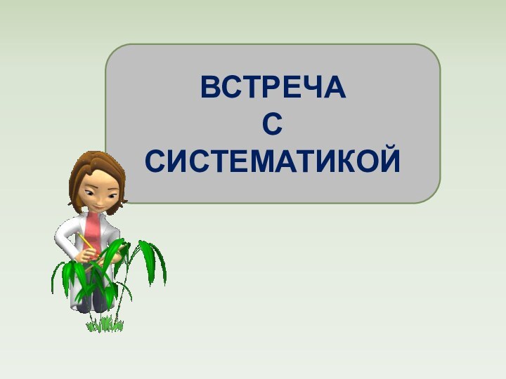 ВСТРЕЧА С СИСТЕМАТИКОЙ