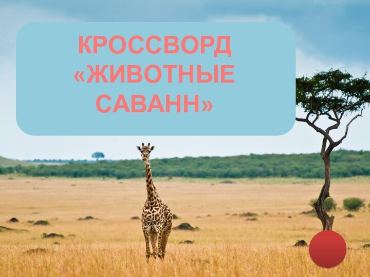 КРОССВОРД «ЖИВОТНЫЕ САВАНН»