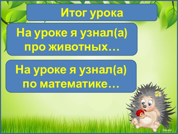 Итог урокаНа уроке я узнал(а) про животных…На уроке я узнал(а) по математике…