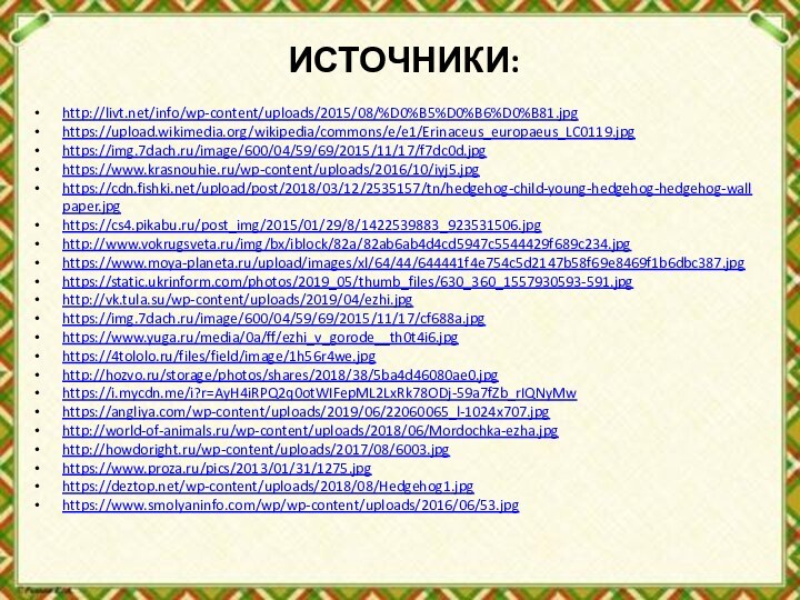 ИСТОЧНИКИ:http://livt.net/info/wp-content/uploads/2015/08/%D0%B5%D0%B6%D0%B81.jpghttps://upload.wikimedia.org/wikipedia/commons/e/e1/Erinaceus_europaeus_LC0119.jpghttps://img.7dach.ru/image/600/04/59/69/2015/11/17/f7dc0d.jpghttps://www.krasnouhie.ru/wp-content/uploads/2016/10/iyj5.jpghttps://cdn.fishki.net/upload/post/2018/03/12/2535157/tn/hedgehog-child-young-hedgehog-hedgehog-wallpaper.jpghttps://cs4.pikabu.ru/post_img/2015/01/29/8/1422539883_923531506.jpghttp://www.vokrugsveta.ru/img/bx/iblock/82a/82ab6ab4d4cd5947c5544429f689c234.jpghttps://www.moya-planeta.ru/upload/images/xl/64/44/644441f4e754c5d2147b58f69e8469f1b6dbc387.jpghttps://static.ukrinform.com/photos/2019_05/thumb_files/630_360_1557930593-591.jpghttp://vk.tula.su/wp-content/uploads/2019/04/ezhi.jpghttps://img.7dach.ru/image/600/04/59/69/2015/11/17/cf688a.jpghttps://www.yuga.ru/media/0a/ff/ezhi_v_gorode__th0t4i6.jpghttps://4tololo.ru/files/field/image/1h56r4we.jpghttp://hozvo.ru/storage/photos/shares/2018/38/5ba4d46080ae0.jpghttps://i.mycdn.me/i?r=AyH4iRPQ2q0otWIFepML2LxRk78ODj-59a7fZb_rIQNyMwhttps://angliya.com/wp-content/uploads/2019/06/22060065_l-1024x707.jpghttp://world-of-animals.ru/wp-content/uploads/2018/06/Mordochka-ezha.jpghttp://howdoright.ru/wp-content/uploads/2017/08/6003.jpghttps://www.proza.ru/pics/2013/01/31/1275.jpghttps://deztop.net/wp-content/uploads/2018/08/Hedgehog1.jpghttps://www.smolyaninfo.com/wp/wp-content/uploads/2016/06/53.jpg