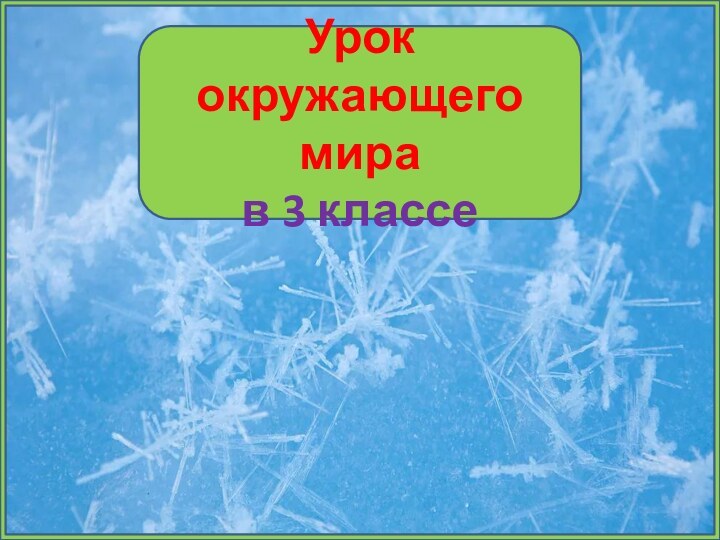 Урок окружающего мира в 3 классе