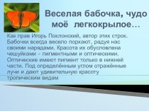 Презентация Весёлая бабочка, чудо моё легкокрылое