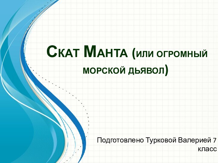 Скат Манта (или огромный морской дьявол)Подготовлено Турковой Валерией 7 класс