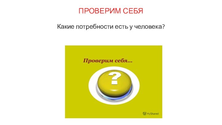 ПРОВЕРИМ СЕБЯ  Какие потребности есть у человека?