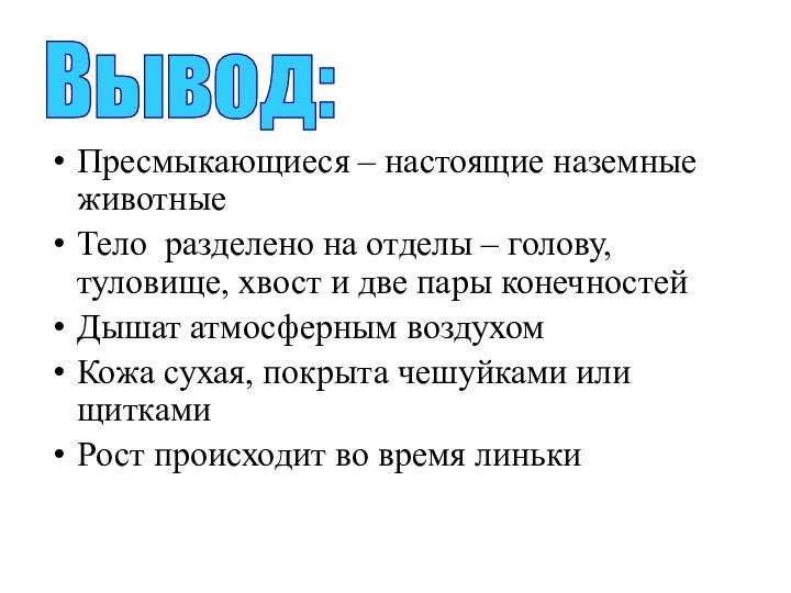 Пресмыкающиеся – настоящие наземные животныеТело разделено на отделы – голову, туловище, хвост