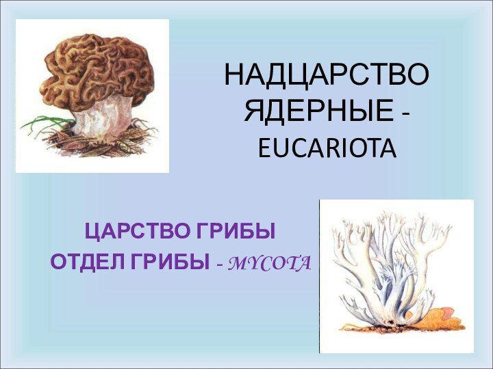 НАДЦАРСТВО ЯДЕРНЫЕ - EUCARIOTAЦАРСТВО ГРИБЫОТДЕЛ ГРИБЫ - MYCOTA