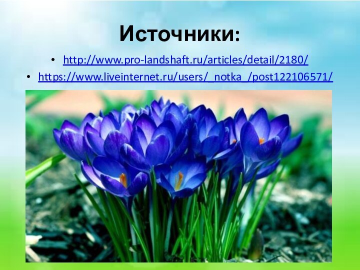 Источники:http://www.pro-landshaft.ru/articles/detail/2180/https://www.liveinternet.ru/users/_notka_/post122106571/