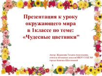 Презентация к уроку окружающего мира  в 1 классе   по теме: Чудесные цветники