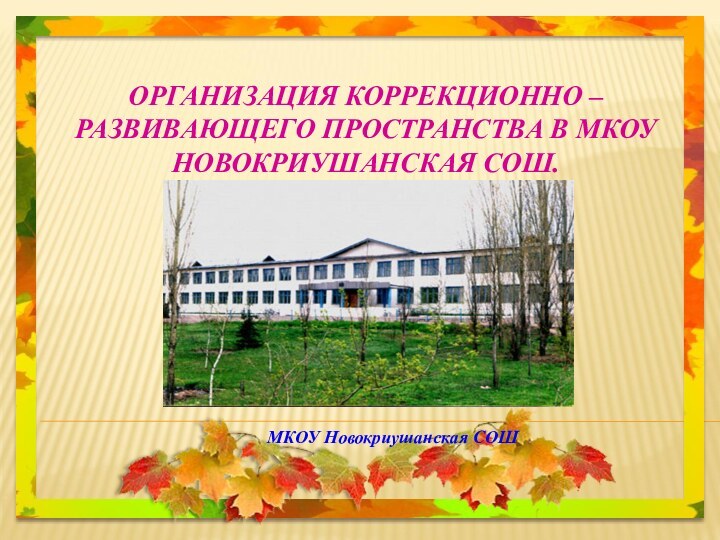 ОРГАНИЗАЦИЯ КОРРЕКЦИОННО – РАЗВИВАЮЩЕГО ПРОСТРАНСТВА В МКОУ НОВОКРИУШАНСКАЯ СОШ.  МКОУ Новокриушанская СОШ