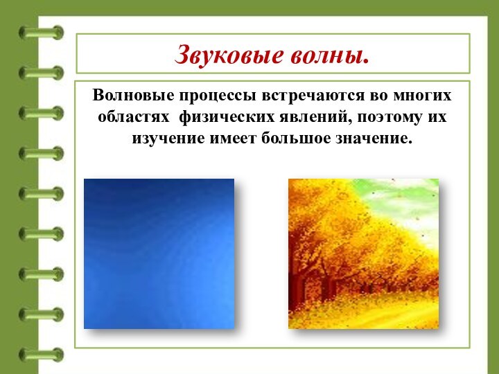 Звуковые волны.Волновые процессы встречаются во многих областях физических явлений, поэтому их изучение имеет большое значение.