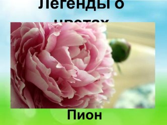 Презентация Легенды о цветах. Пион