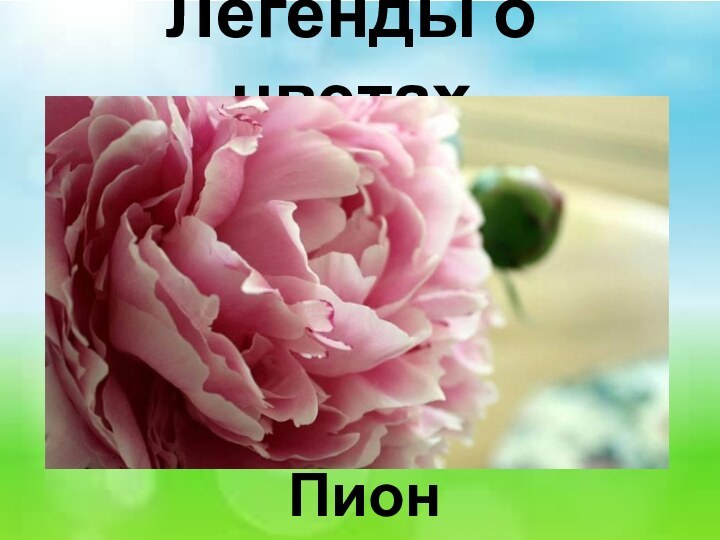 Легенды о цветах Пион