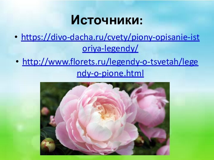 Источники:https://divo-dacha.ru/cvety/piony-opisanie-istoriya-legendy/http://www.florets.ru/legendy-o-tsvetah/legendy-o-pione.html