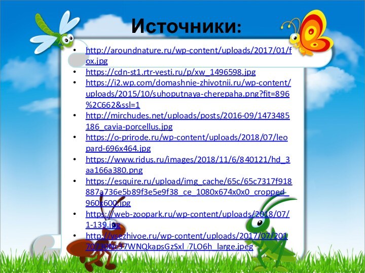 Источники:http://aroundnature.ru/wp-content/uploads/2017/01/fox.jpghttps://cdn-st1.rtr-vesti.ru/p/xw_1496598.jpghttps://i2.wp.com/domashnie-zhivotnii.ru/wp-content/uploads/2015/10/suhoputnaya-cherepaha.png?fit=896%2C662&ssl=1http://mirchudes.net/uploads/posts/2016-09/1473485186_cavia-porcellus.jpghttps://o-prirode.ru/wp-content/uploads/2018/07/leopard-696x464.jpghttps://www.ridus.ru/images/2018/11/6/840121/hd_3aa166a380.pnghttps://esquire.ru/upload/img_cache/65c/65c7317f918887a736e5b89f3e5e9f38_ce_1080x674x0x0_cropped_960x600.jpghttps://web-zoopark.ru/wp-content/uploads/2018/07/1-139.jpghttp://vsezhivoe.ru/wp-content/uploads/2017/07/20170730Nc37WNQkapsGzSxl_7LO6h_large.jpeg